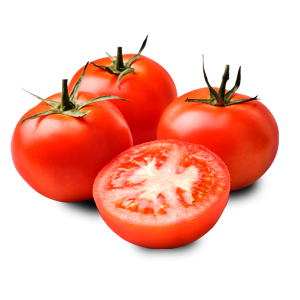 Tomato PNG-12526